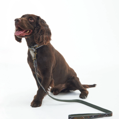 Barbour Comfort Classic Tartan Reflective Dog Lead
