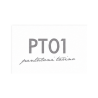PT Torino